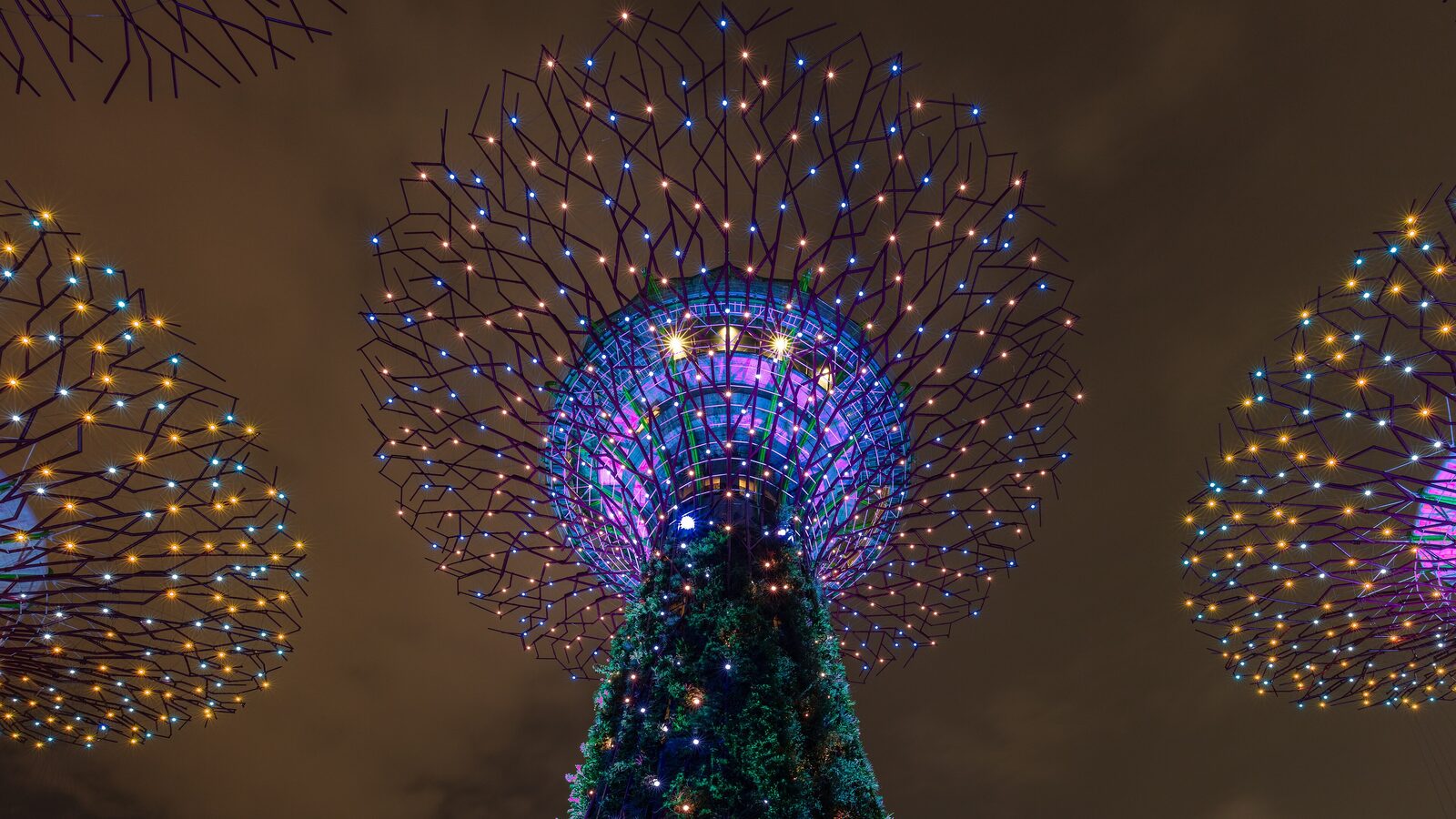 Gardens by the Bay với Supertree rực sáng ban đêm, Singapore